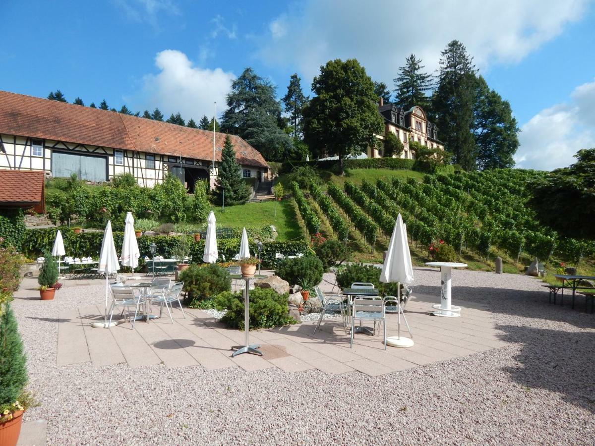 Wein Lodge Durbach - Schlossblick Extérieur photo