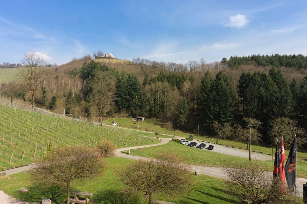 Wein Lodge Durbach - Schlossblick Extérieur photo