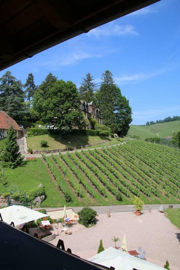 Wein Lodge Durbach - Schlossblick Extérieur photo