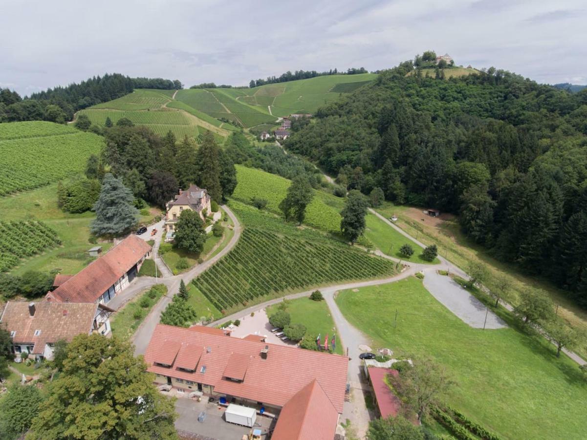 Wein Lodge Durbach - Schlossblick Extérieur photo